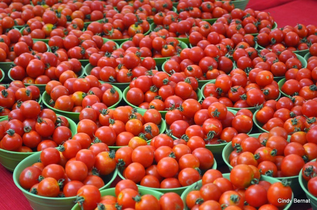 tomatoes in baskets