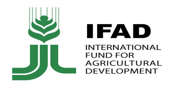 Image result for ifad